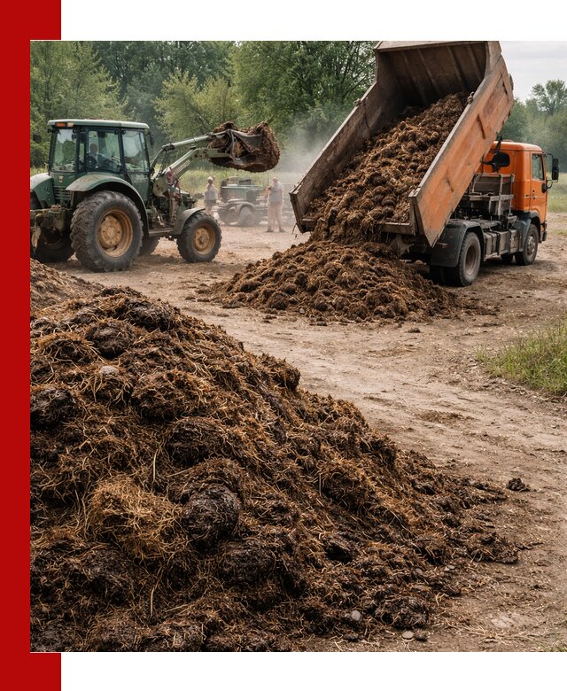 Доставка навоза самосвалами в Химках для сельхозпотребностей